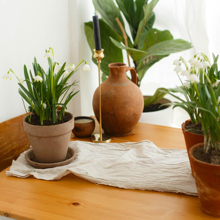 epv lifestyle photo2 2